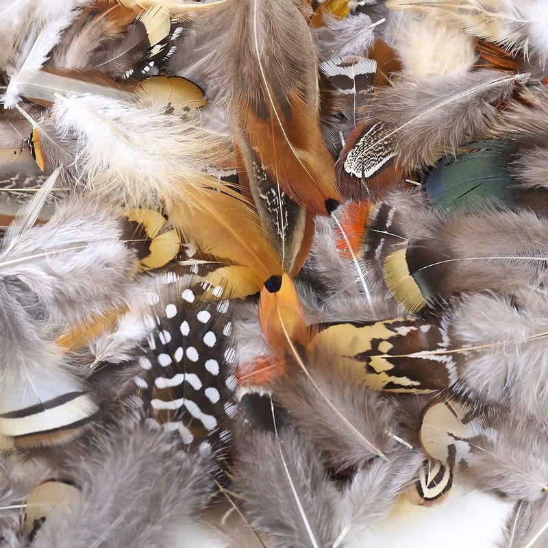 Ballinger 360pcs 12 Styled Natural Feathers Assorted Mixed Feathers for Jewelry and Dream Catcher Crafts - Image 2